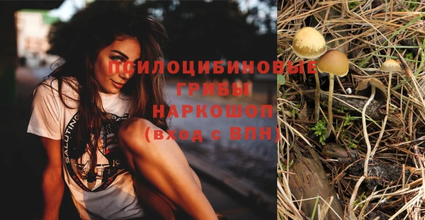 спиды Балабаново