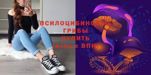 мяу мяу мука Аркадак