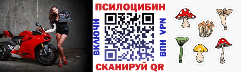 где продают   Черняховск  Галлюциногенные грибы GOLDEN TEACHER 